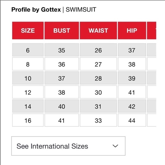 PROFILE by Gottex Ribbons Shirred One Piece Swim - Picture 5 of 5